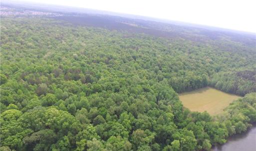 Photo #9 of Van Wyck, Lancaster, SC 114.0 acres