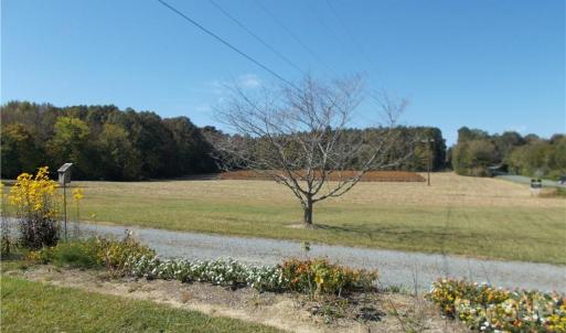 Photo #2 of 109 Brief, Fairview, NC 22.0 acres