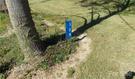Photo #3 of 109 Brief, Fairview, NC 22.0 acres