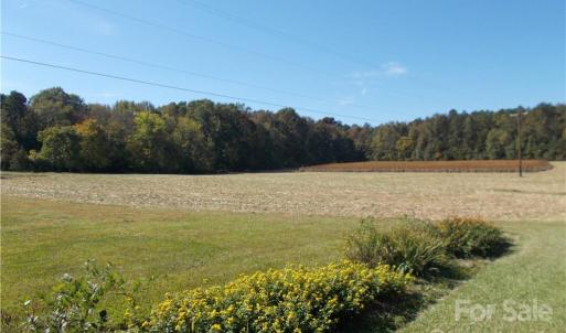 Photo #4 of 109 Brief, Fairview, NC 22.0 acres