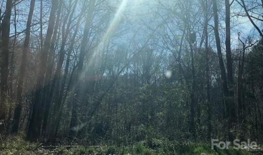 Photo #2 of MURRAY, Chester, SC 3.8 acres