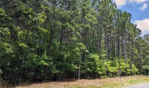Photo #12 of 129 Plantation, Mount Gilead, NC 4.4 acres