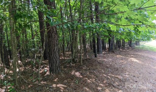 Photo #5 of 129 Plantation, Mount Gilead, NC 4.4 acres