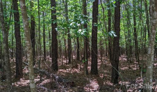 Photo #4 of 129 Plantation, Mount Gilead, NC 4.4 acres
