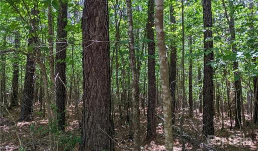 Photo #7 of 129 Plantation, Mount Gilead, NC 4.4 acres