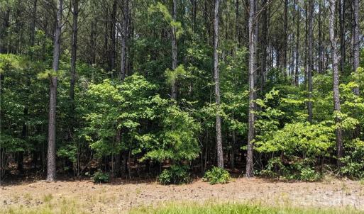 Photo #9 of 129 Plantation, Mount Gilead, NC 4.4 acres