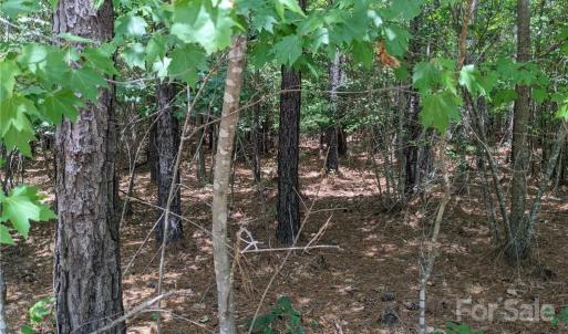 Photo #10 of 129 Plantation, Mount Gilead, NC 4.4 acres