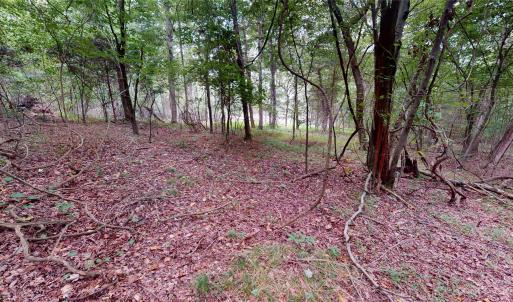 Photo #8 of 34568 Glory Hills, Albemarle, NC 8.4 acres