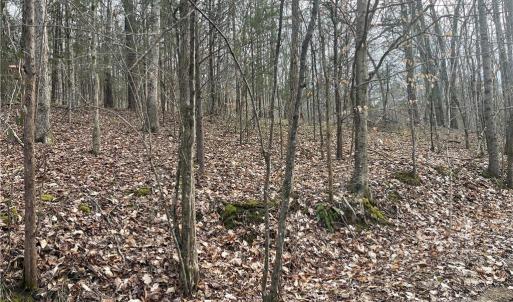 Photo #5 of 1265 Burris, Sharon, SC 137.0 acres