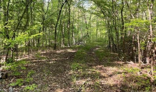 Photo #17 of 1265 Burris, Sharon, SC 137.0 acres