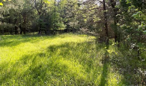 Photo #19 of 1265 Burris, Sharon, SC 137.0 acres