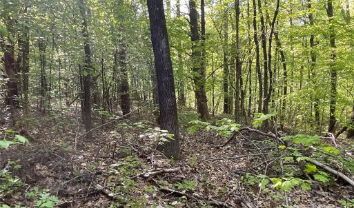 Photo #16 of 1265 Burris, Sharon, SC 137.0 acres