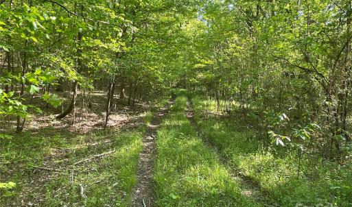 Photo #9 of 1265 Burris, Sharon, SC 137.0 acres