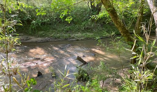 Photo #14 of 1265 Burris, Sharon, SC 137.0 acres