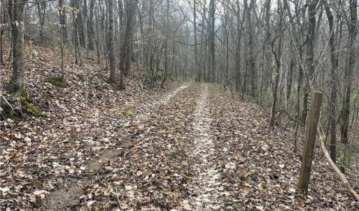 Photo #6 of 1265 Burris, Sharon, SC 137.0 acres