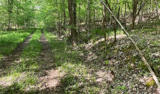 Photo #13 of 1265 Burris, Sharon, SC 137.0 acres