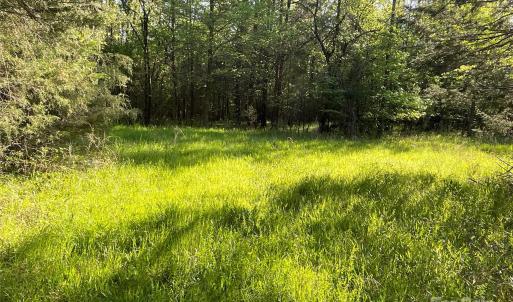 Photo #20 of 1265 Burris, Sharon, SC 137.0 acres