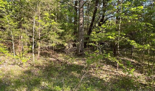 Photo #22 of 1265 Burris, Sharon, SC 137.0 acres