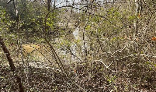 Photo #7 of 161 Little River Trail Little River, Lancaster, SC 25.4 acres