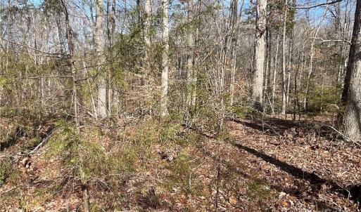 Photo #14 of 161 Little River Trail Little River, Lancaster, SC 25.4 acres