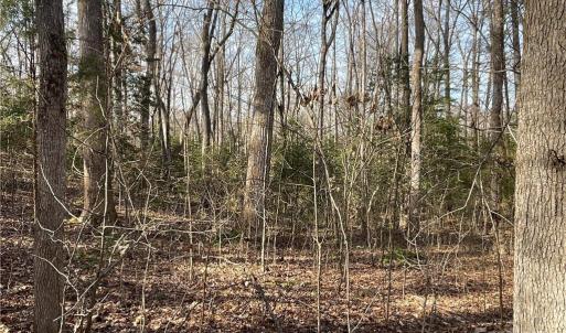 Photo #23 of 161 Little River Trail Little River, Lancaster, SC 25.4 acres