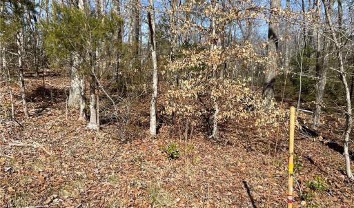 Photo #17 of 161 Little River Trail Little River, Lancaster, SC 25.4 acres