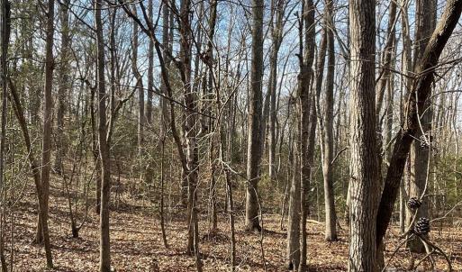 Photo #20 of 161 Little River Trail Little River, Lancaster, SC 25.4 acres