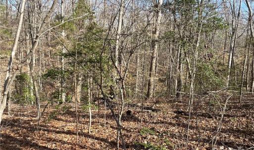 Photo #9 of 161 Little River Trail Little River, Lancaster, SC 25.4 acres
