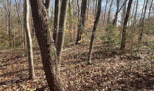 Photo #8 of 161 Little River Trail Little River, Lancaster, SC 25.4 acres