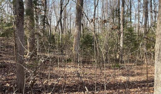 Photo #21 of 161 Little River Trail Little River, Lancaster, SC 25.4 acres