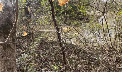 Photo #6 of 161 Little River Trail Little River, Lancaster, SC 25.4 acres