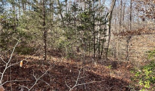 Photo #16 of 161 Little River Trail Little River, Lancaster, SC 25.4 acres
