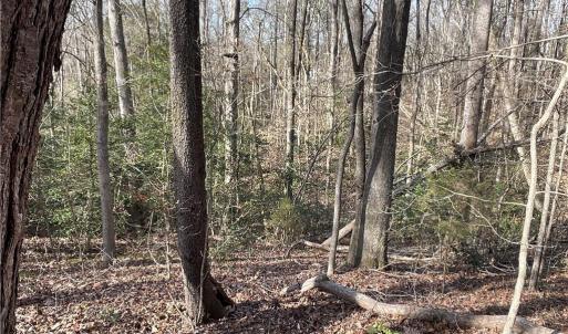 Photo #26 of 161 Little River Trail Little River, Lancaster, SC 25.4 acres
