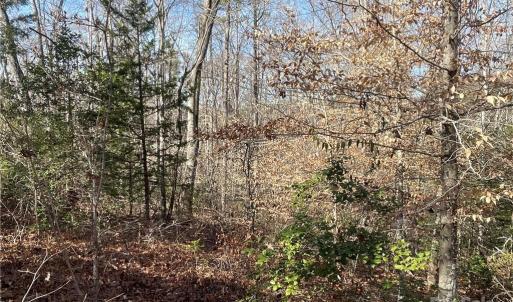 Photo #15 of 161 Little River Trail Little River, Lancaster, SC 25.4 acres