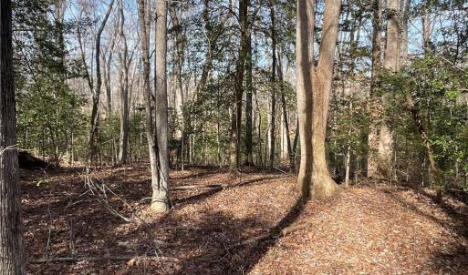 Photo #24 of 161 Little River Trail Little River, Lancaster, SC 25.4 acres
