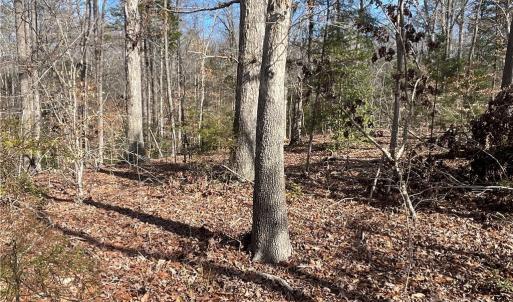 Photo #12 of 161 Little River Trail Little River, Lancaster, SC 25.4 acres