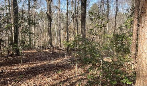 Photo #25 of 161 Little River Trail Little River, Lancaster, SC 25.4 acres