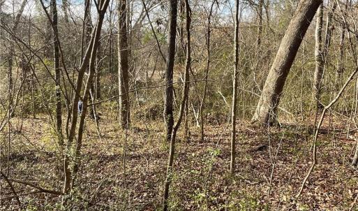 Photo #27 of 161 Little River, Lancaster, SC 25.4 acres