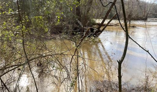Photo #4 of 161 Little River, Lancaster, SC 25.4 acres