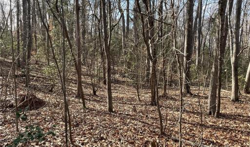 Photo #19 of 161 Little River, Lancaster, SC 25.4 acres
