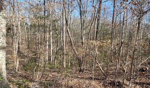 Photo #10 of 161 Little River, Lancaster, SC 25.4 acres