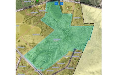 Photo #3 of Black, York, SC