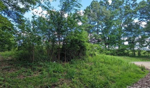 Photo #2 of 229 Boger, Concord, NC