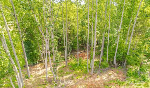 Photo #17 of 345 Squirrel, Clover, SC