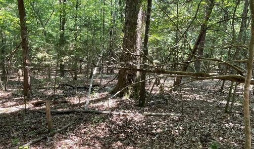 Photo #15 of 2790 Great Falls, Lancaster, SC