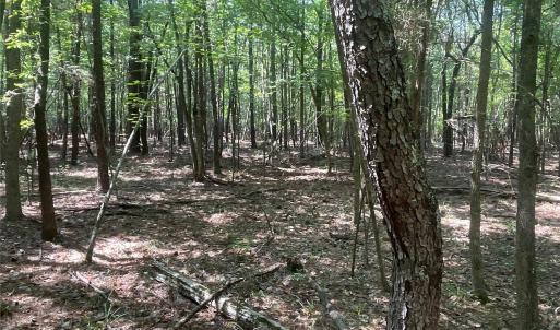 Photo #19 of 2790 Great Falls, Lancaster, SC