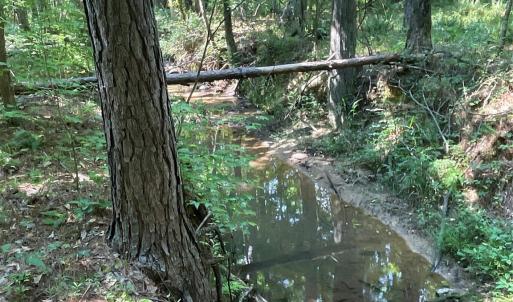 Photo #29 of 2790 Great Falls, Lancaster, SC