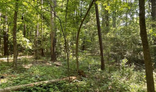 Photo #7 of 2790 Great Falls, Lancaster, SC