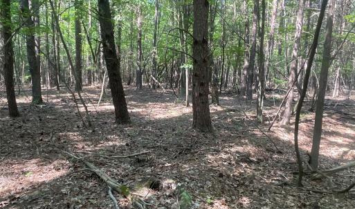 Photo #21 of 2790 Great Falls, Lancaster, SC