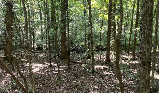 Photo #35 of 2790 Great Falls, Lancaster, SC